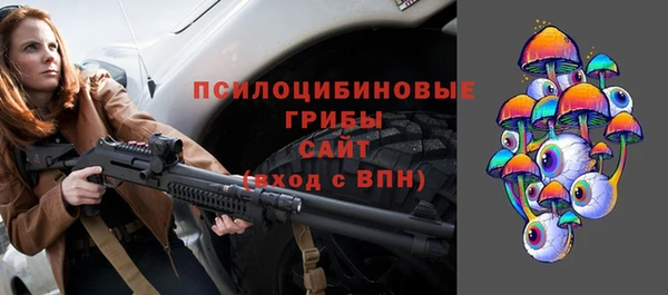 хмурый Богородск