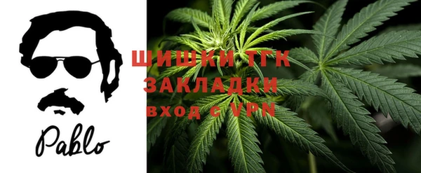 хмурый Богородск