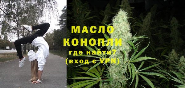 спиды Богородицк